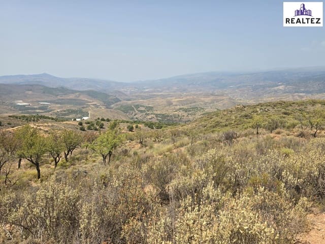 Undeveloped Land for sale in Alcolea - € 99,900 (Ref: 9338695)