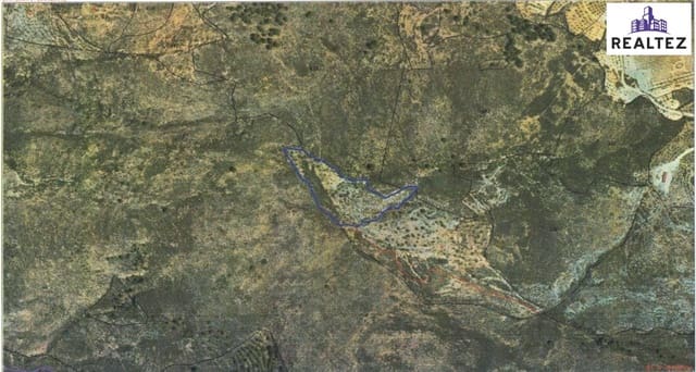 Undeveloped Land for sale in Alcolea - € 11,900 (Ref: 9338696)