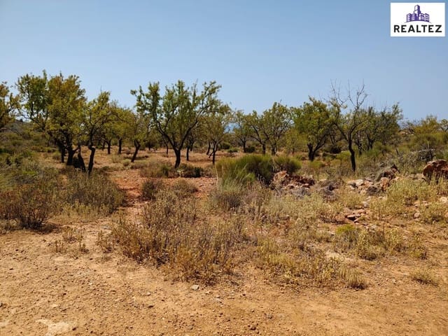 Undeveloped Land for sale in Alcolea - € 11,900 (Ref: 9338696)