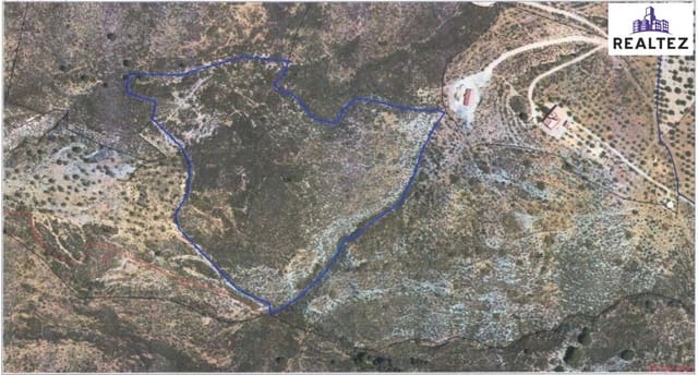 Undeveloped Land for sale in Alcolea - € 79,900 (Ref: 9338697)