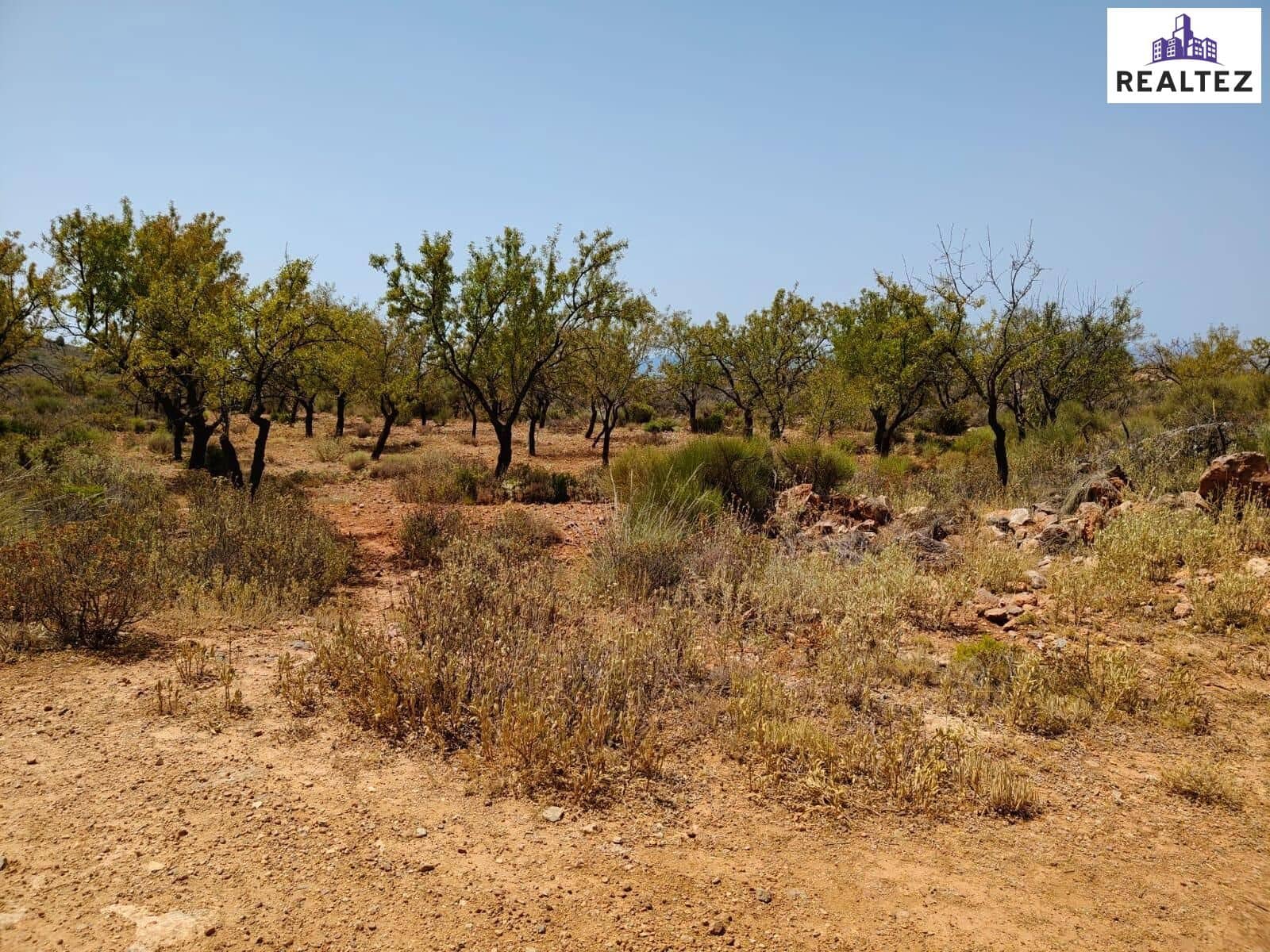 Teren niezagospodarowany na sprzedaż w Alcolea - 79 900 € (Ref: 9338697)