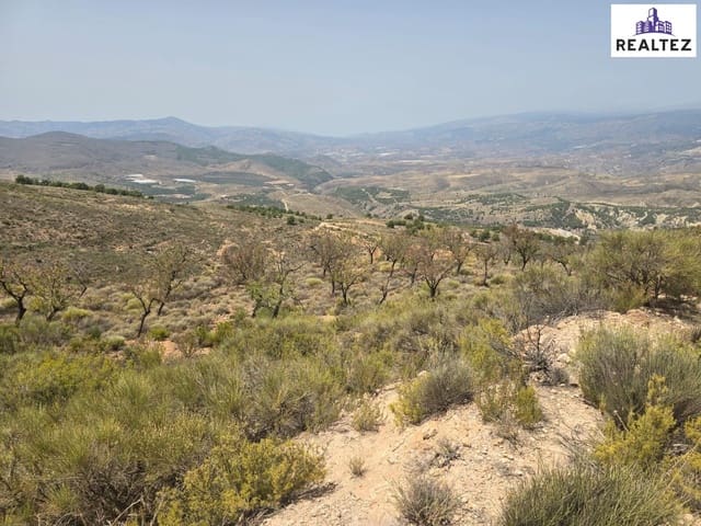 Undeveloped Land for sale in Alcolea - € 79,900 (Ref: 9338697)