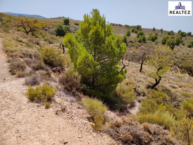 Undeveloped Land for sale in Alcolea - € 79,900 (Ref: 9338697)