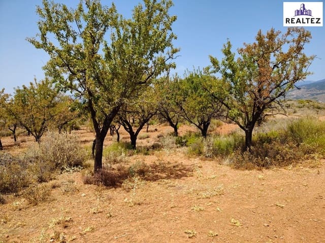 Undeveloped Land for sale in Alcolea - € 79,900 (Ref: 9338697)