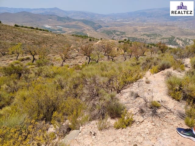 Undeveloped Land for sale in Alcolea - € 79,900 (Ref: 9338697)
