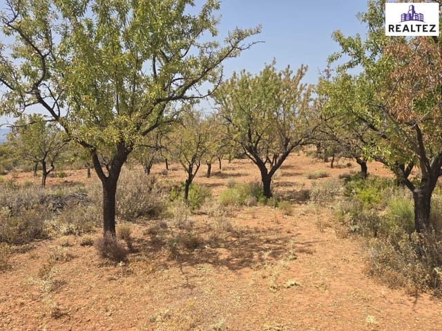 Undeveloped Land for sale in Alcolea - € 79,900 (Ref: 9338697)