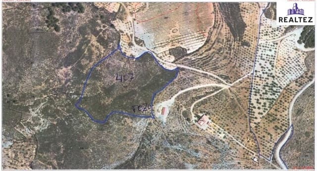 Terreno Non Edificato in vendita in Alcolea - 44.900 € (Rif: 9375412)