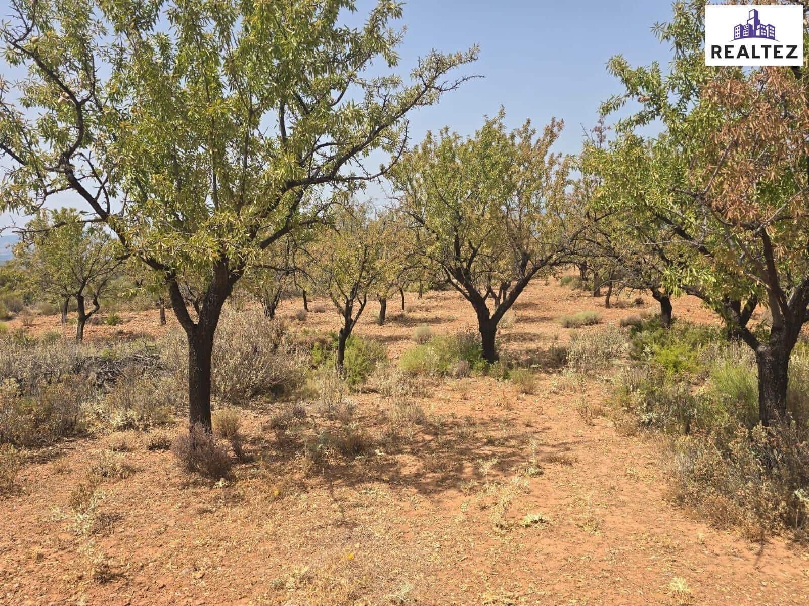 Teren niezagospodarowany na sprzedaż w Alcolea - 44 900 € (Ref: 9375412)