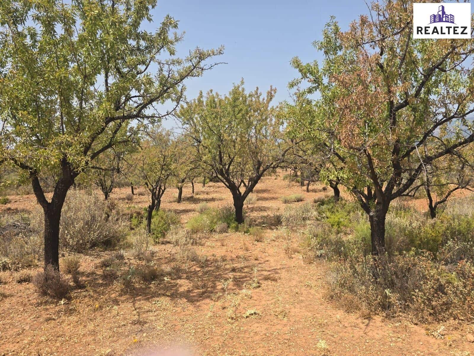 Teren niezagospodarowany na sprzedaż w Alcolea - 99 900 € (Ref: 9383052)