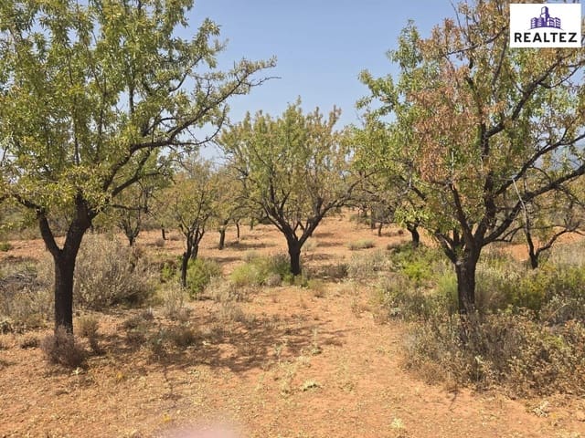 Undeveloped Land for sale in Alcolea - € 99,900 (Ref: 9383052)