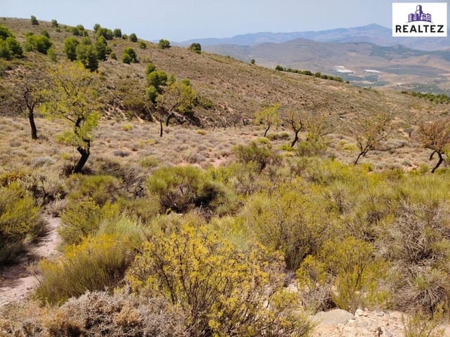 Undeveloped Land for sale in Alcolea - € 99,900 (Ref: 9383052)