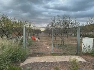 Undeveloped Land for sale in Oropesa  - € 17,000 (Ref: 10171919)