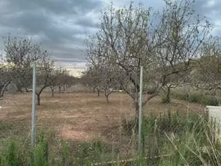 Undeveloped Land for sale in Oropesa  - € 17,000 (Ref: 10171919)