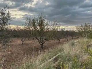 Undeveloped Land for sale in Oropesa  - € 17,000 (Ref: 10171919)