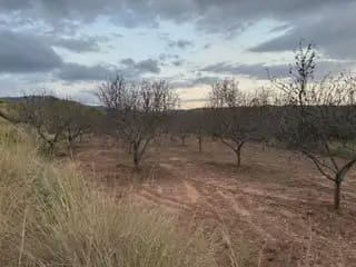 Grond te koop in Oropesa  - € 17.000 (Ref: 10171919)