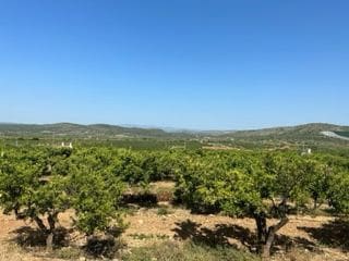 Finca/Country House for sale in Alcalà de Xivert pueblo, Alcalá de Xivert - € 50,000 (Ref: 9410095)