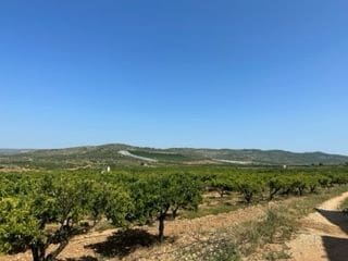 Finca/Country House for sale in Alcalà de Xivert pueblo, Alcalá de Xivert - € 50,000 (Ref: 9410095)