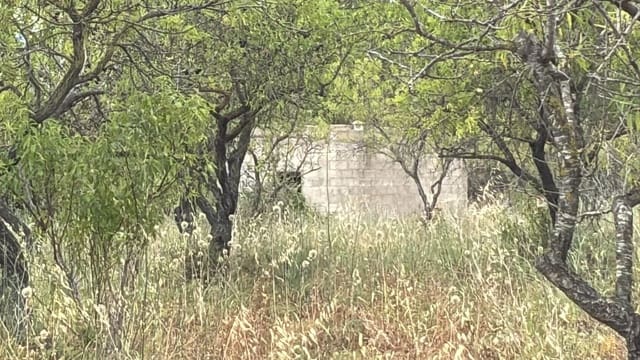 Undeveloped Land for sale in Traiguera - € 23,000 (Ref: 9410099)