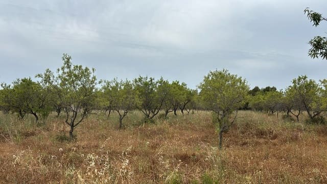Undeveloped Land for sale in Traiguera - € 23,000 (Ref: 9410099)