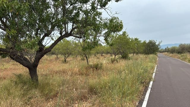 Undeveloped Land for sale in Traiguera - € 23,000 (Ref: 9410099)