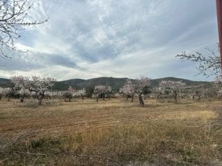6 quarto Quinta/Casa Rural para venda em Les Coves de Vinroma - 180 000 € (Ref: 9410101)