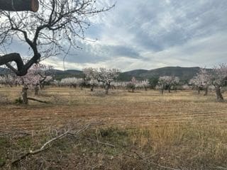 6 quarto Quinta/Casa Rural para venda em Les Coves de Vinroma - 180 000 € (Ref: 9410101)