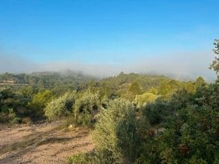 Finca/Country House for sale in Benifallet - € 199,000 (Ref: 9410105)