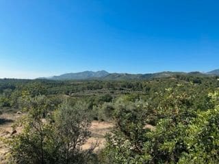 Finca/Country House for sale in Benifallet - € 199,000 (Ref: 9410105)