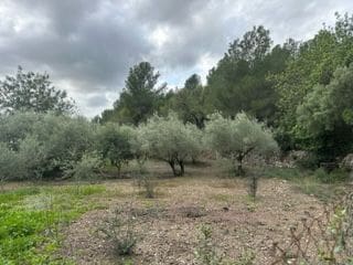 Maalaistalo myytävänä paikassa Borriol - 120 000 € (Ref: 9410109)