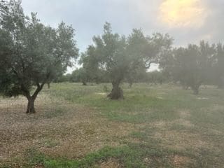 Finca/Casa di Campagna in vendita in San Rafael del Rio / Sant Rafael del Riu - 55.000 € (Rif: 9410111)