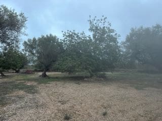 Finca/Casa di Campagna in vendita in San Rafael del Rio / Sant Rafael del Riu - 55.000 € (Rif: 9410111)