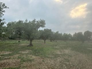 Finca/Casa di Campagna in vendita in San Rafael del Rio / Sant Rafael del Riu - 55.000 € (Rif: 9410111)