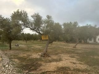 Finca/Casa di Campagna in vendita in San Rafael del Rio / Sant Rafael del Riu - 55.000 € (Rif: 9410111)