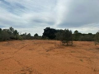 Building Plot for sale in Cabanes - € 11,000 (Ref: 9410112)