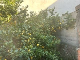 Townhouse for sale in Cabanes - € 88,000 (Ref: 9410116)