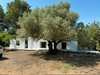 Finca/Herregård til salgs i Benlloch - € 55 000 (Ref: 9410117)