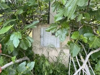 Mark till salu i Cabanes - 16 000 € (Ref: 9410118)