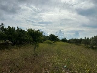 Undeveloped Land for sale in Cabanes - € 16,000 (Ref: 9410118)