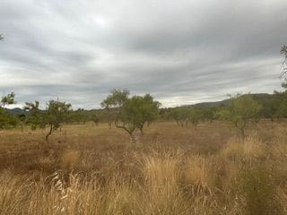 Building Plot for sale in Cabanes - € 33,000 (Ref: 9410122)