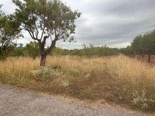 Building Plot for sale in Cabanes - € 33,000 (Ref: 9410122)