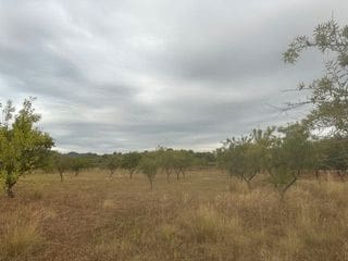 Building Plot for sale in Cabanes - € 33,000 (Ref: 9410122)