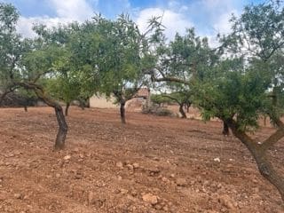 Finca/Landhuis te koop in Cabanes - € 50.000 (Ref: 9410124)