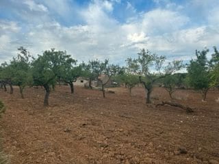 Finca/Landhuis te koop in Cabanes - € 50.000 (Ref: 9410124)