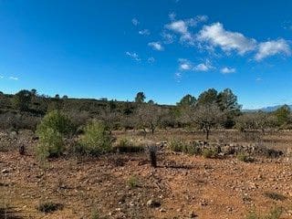 Mark till salu i Cabanes - 25 000 € (Ref: 9410136)