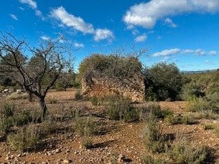 Undeveloped Land for sale in Cabanes - € 25,000 (Ref: 9410136)