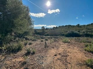 Undeveloped Land for sale in Cabanes - € 25,000 (Ref: 9410136)