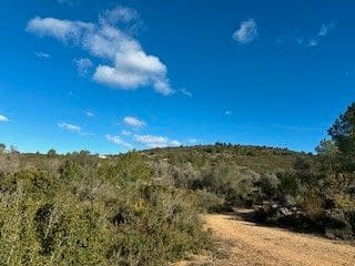 Undeveloped Land for sale in Cabanes - € 25,000 (Ref: 9410136)