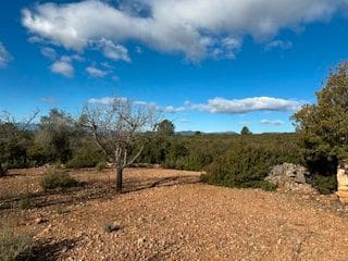 Undeveloped Land for sale in Cabanes - € 25,000 (Ref: 9410136)