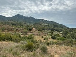 Finca/Landehus til salg i Borriol - € 168.500 (Ref: 9547192)