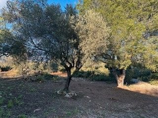 Finka/Dom wiejski na sprzedaż w Cabanes - 59 999 € (Ref: 9547193)